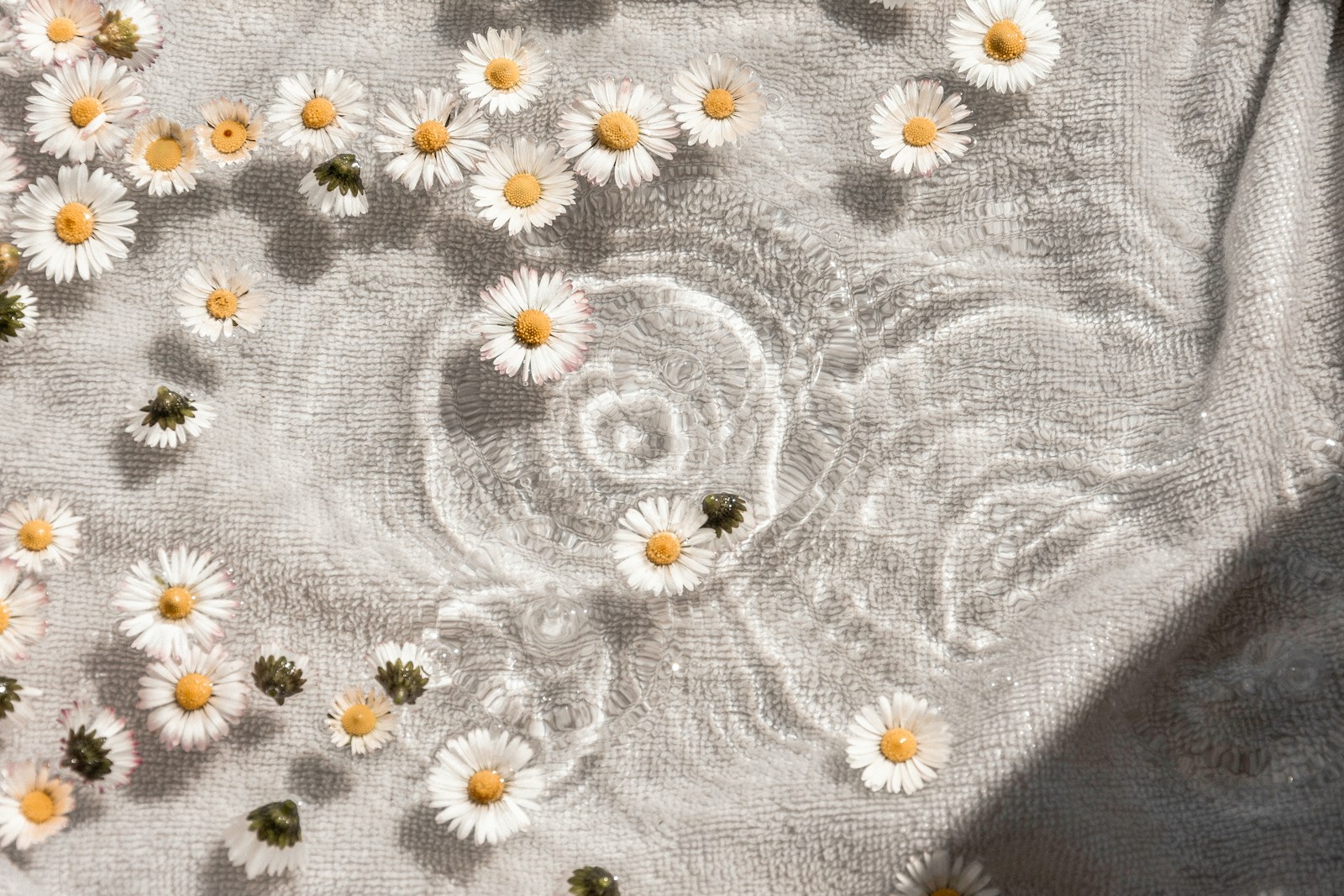 Photo by Camille Brodard white and blue floral textile